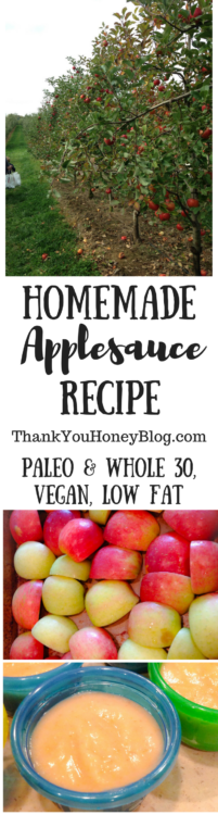 Homemade Applesauce Recipe