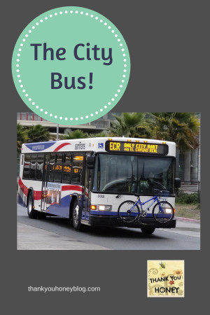 TheCityBus