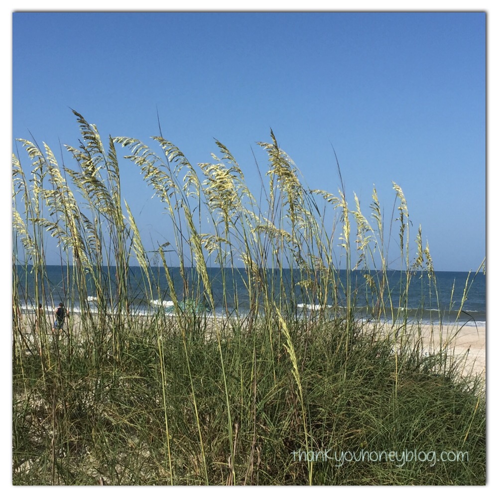 Tropical Oatmeal #BringYourBestBowl #Target {ad}