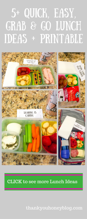 5+ Quick, Easy, Grab & Go Lunch Ideas + Printable #HorizonLunch #ad