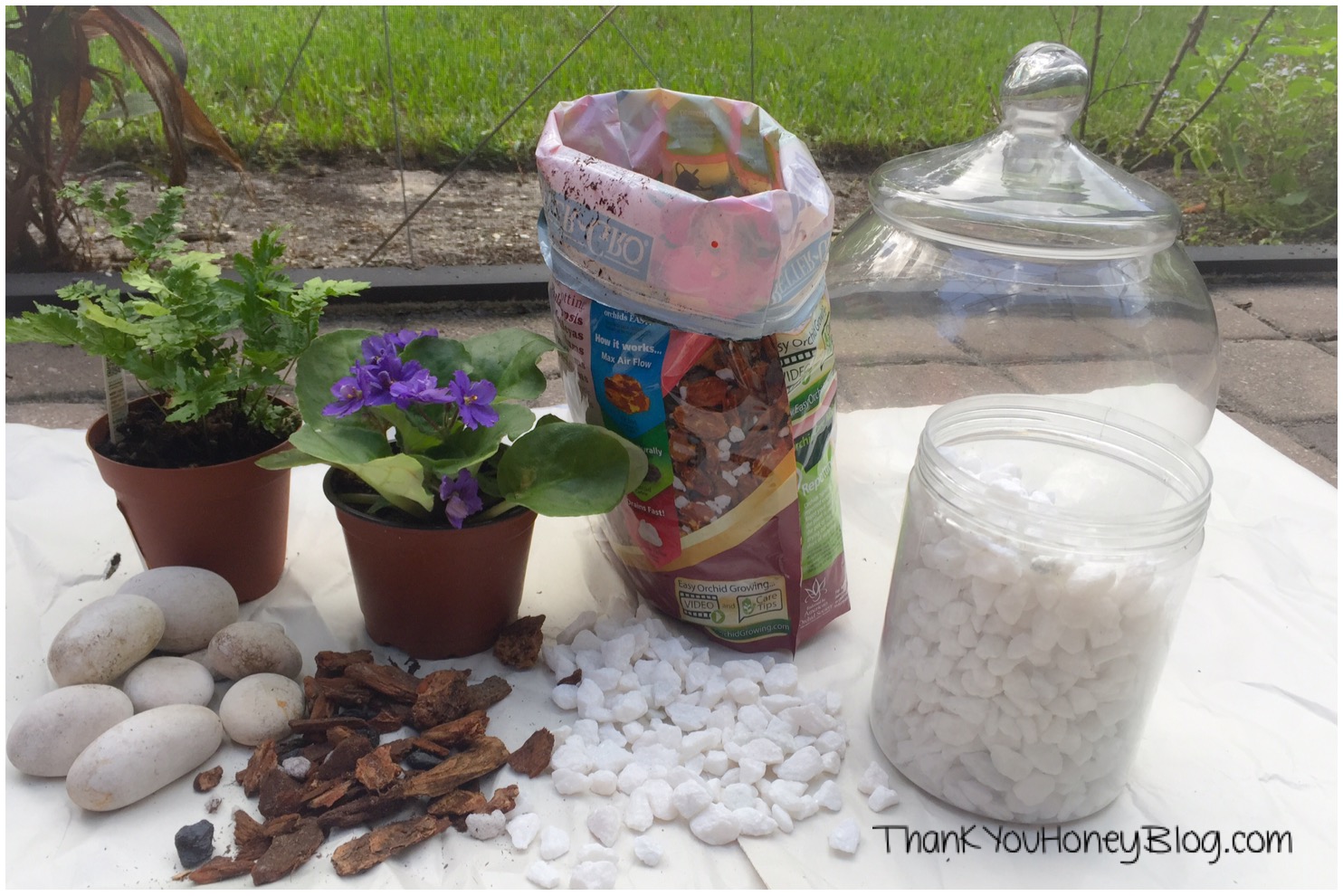 DIY Terrarium #FreeToBe #ad