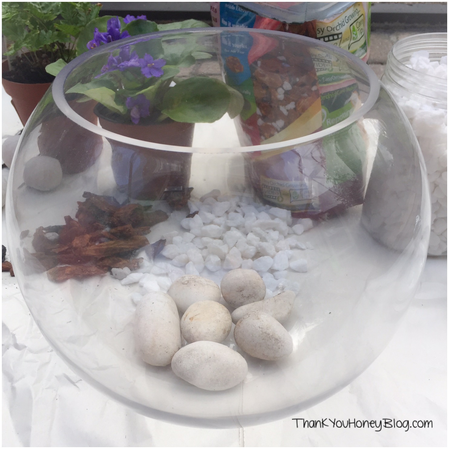 DIY Terrarium #FreeToBe #ad