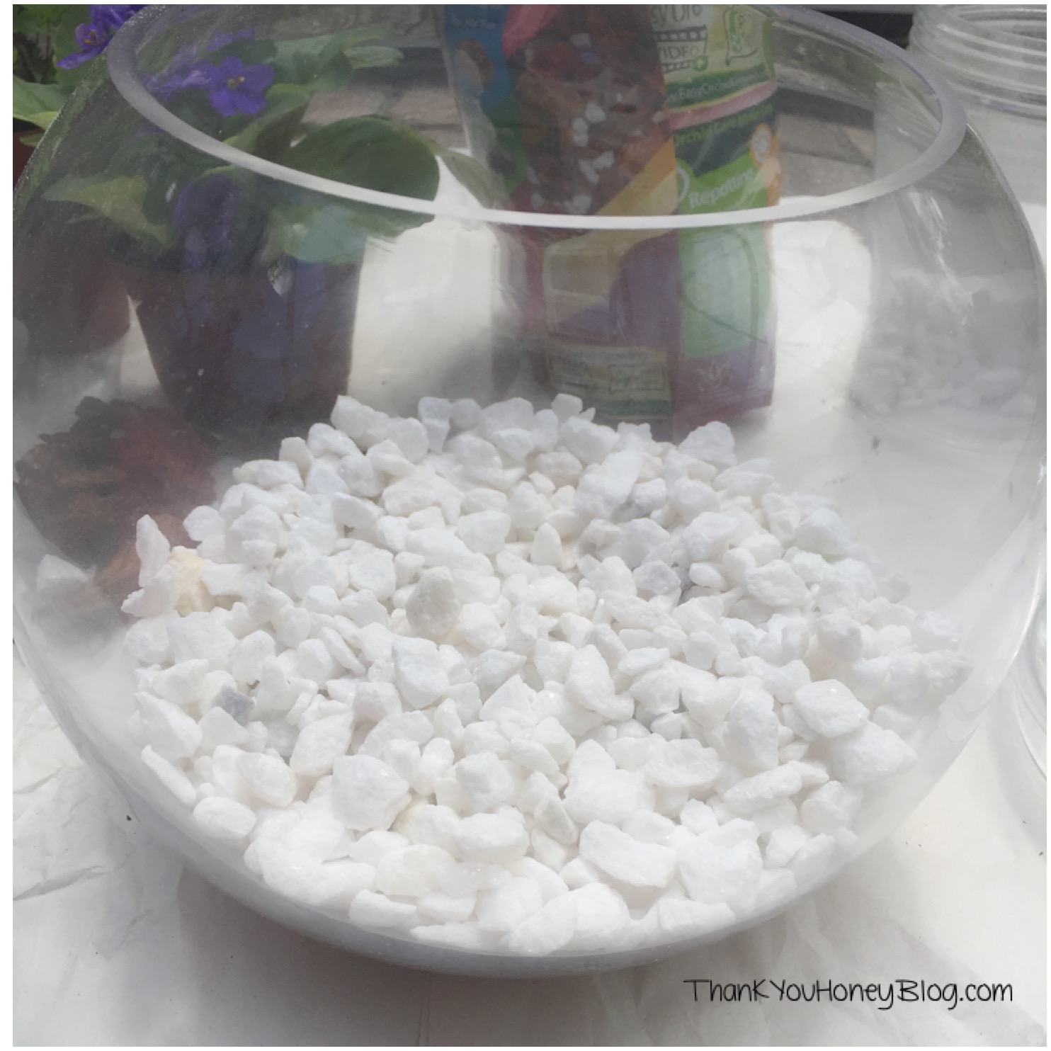 DIY Terrarium #FreeToBe #ad