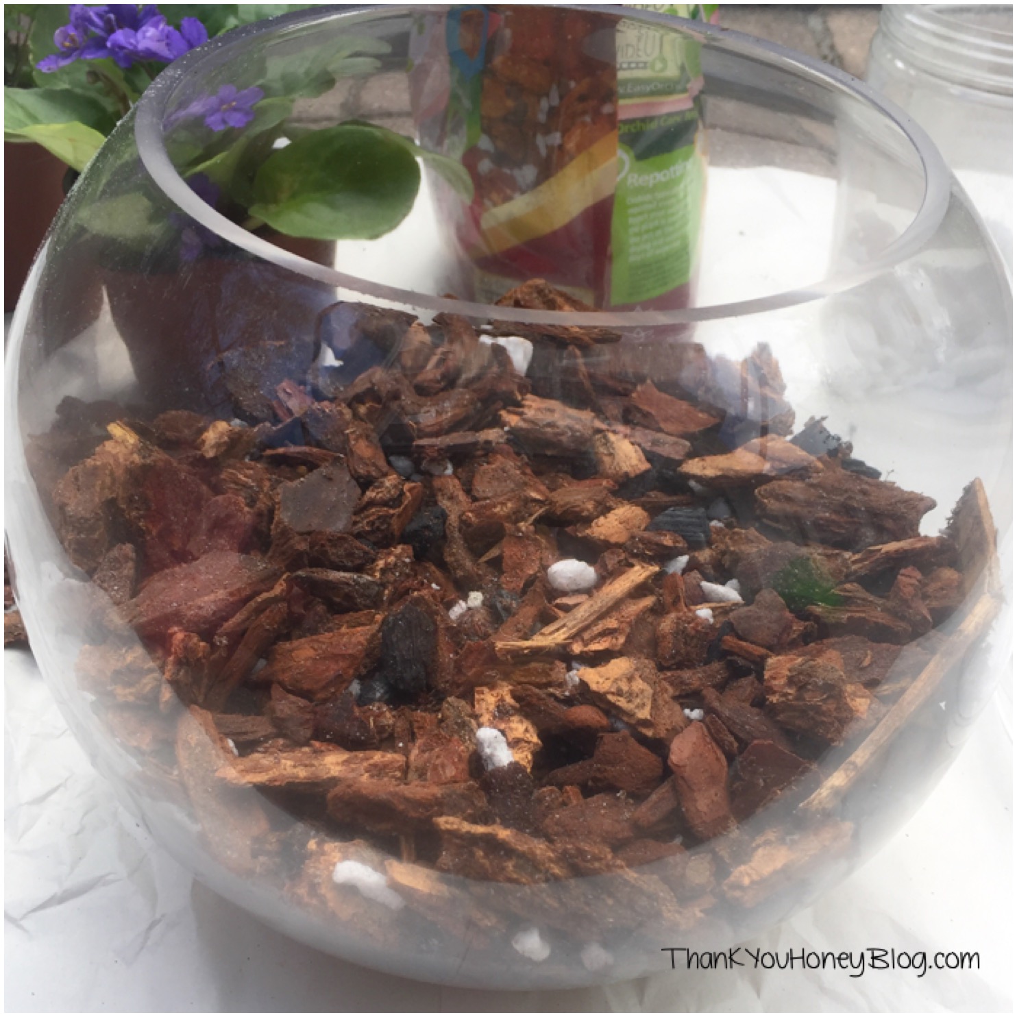 DIY Terrarium #FreeToBe #ad