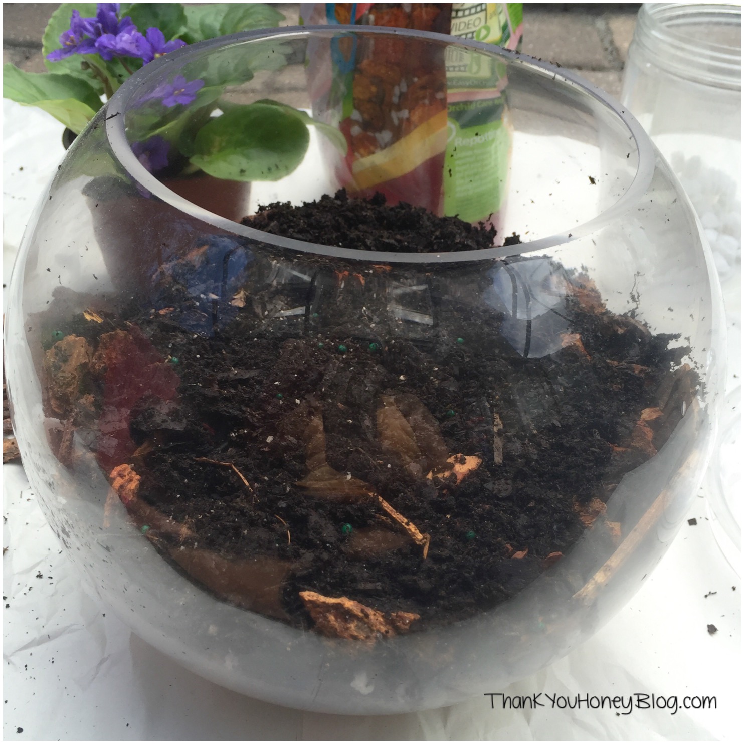 DIY Terrarium #FreeToBe #ad