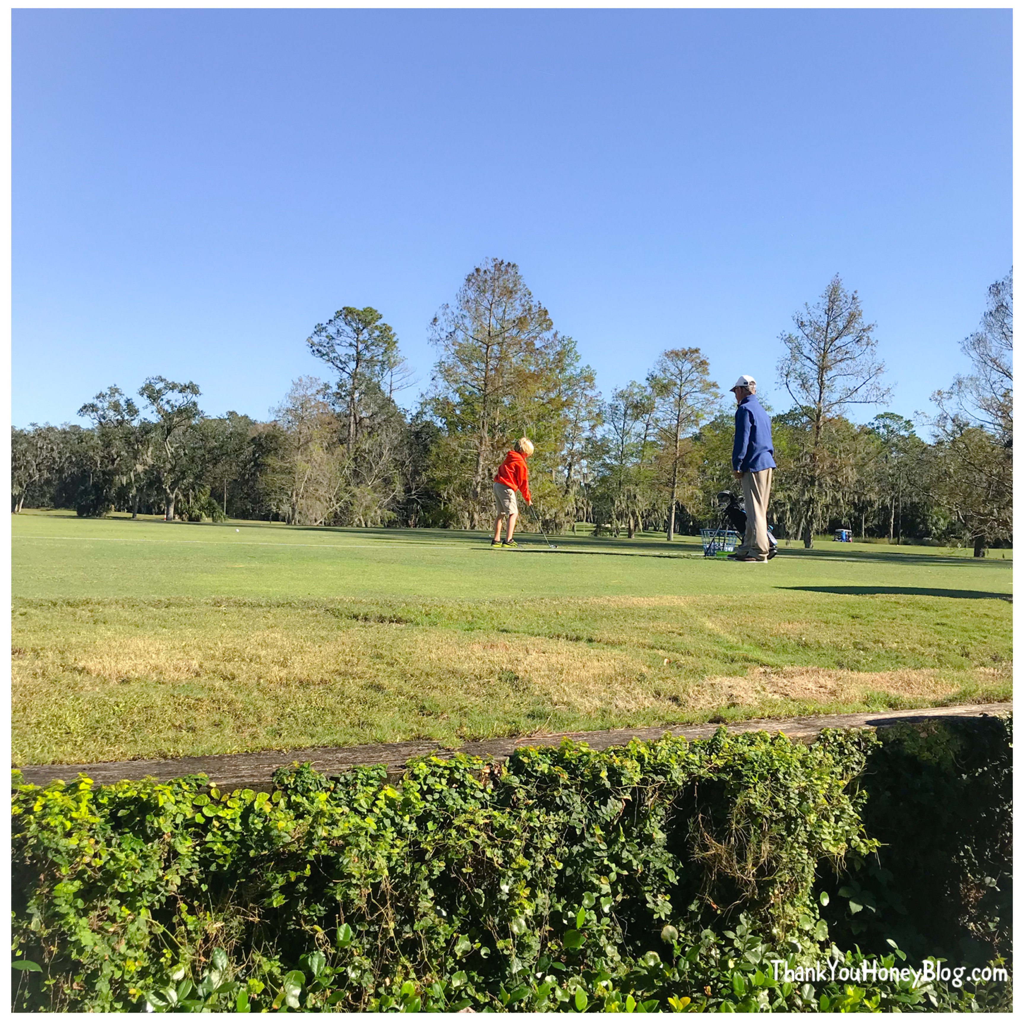 Help your Kids Survive Allergy Season